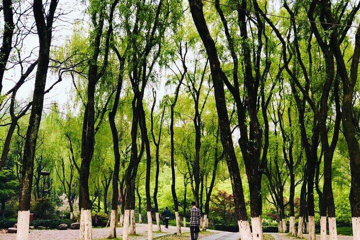Hangzhou Highlights Private Day Tour med West Lake Boat Ride fra Shanghai