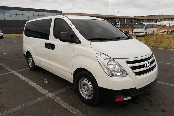 Privat transport til Riu Playa Blanca eller Buenaventura Hotel