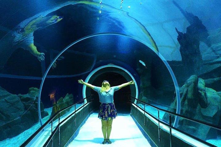 AquaRio Small Group Tour Guidato con ingresso e trasferimento