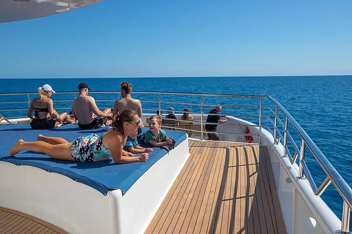Cairns Super Saver: Reef Cruise, Daintree & Kuranda Rail/Skyrail