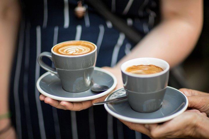 Visite à pied des amateurs de café de Melbourne