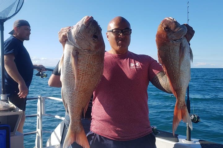 Fishing charter - Hauraki Gulf