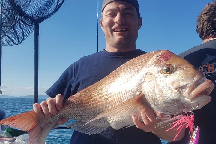 Fishing charter - Hauraki Gulf