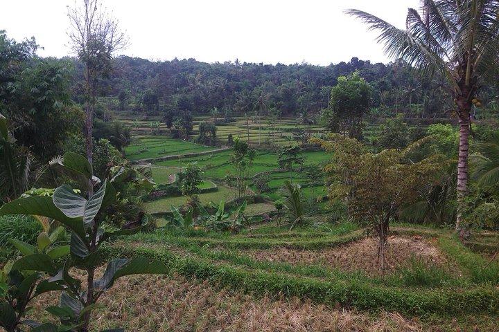 Weiche Trekking-Tetebatu