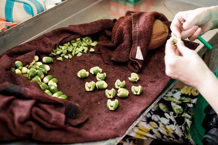 バックストリートフードツアー：食べ物、文化、そして楽しみ
