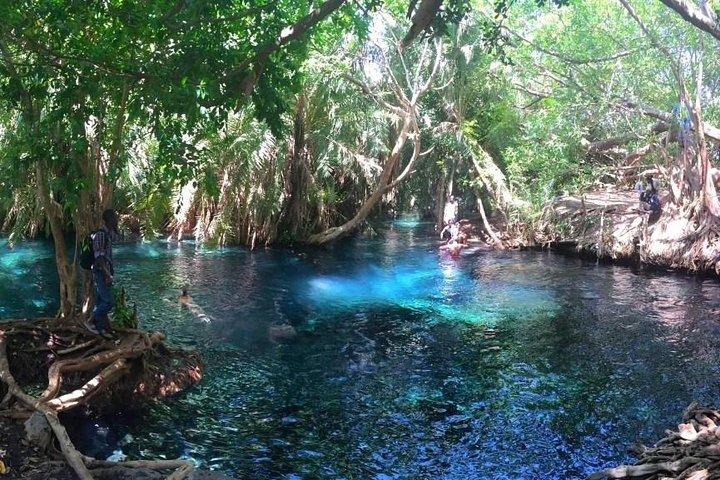 Excursión de un día a las aguas termales de Kikuletwa