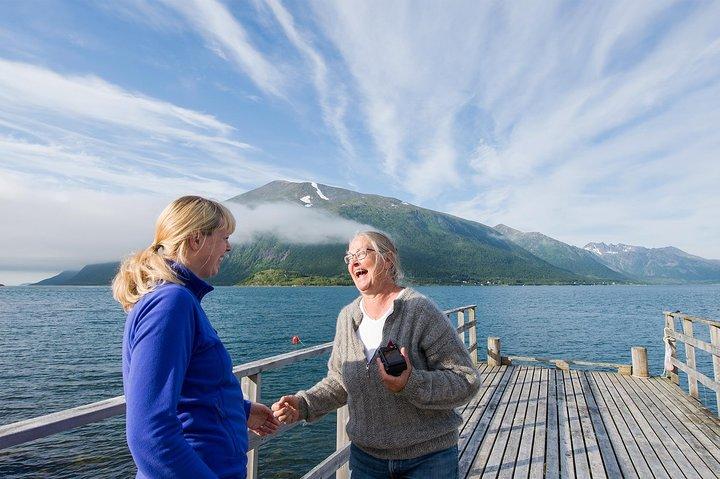 さまようフクロウと市民科学で行く夏のフィヨルドロードトリップ