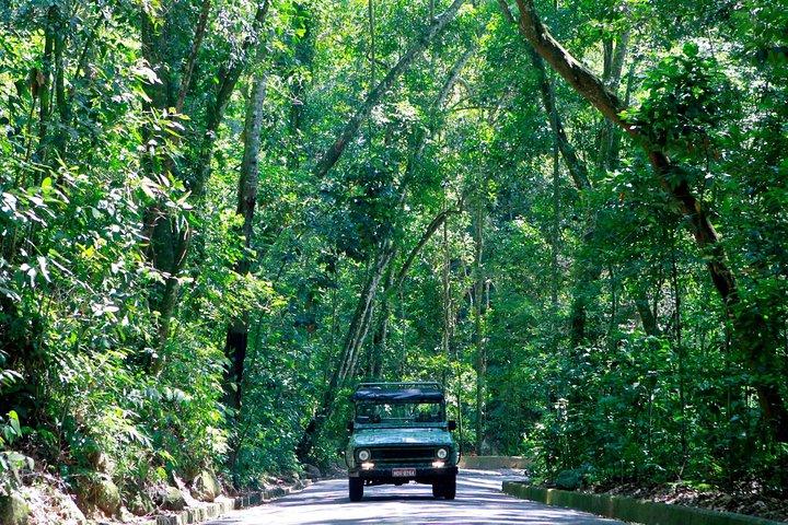 Excursão de jipe pela Floresta da Tijuca