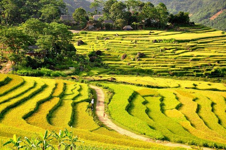 Trekking en Mai Chau - Tour de la reserva natural de Pu Luong 3 días