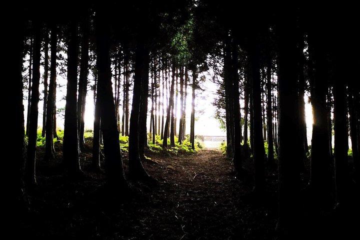 Terceira Island privat tur: heldag