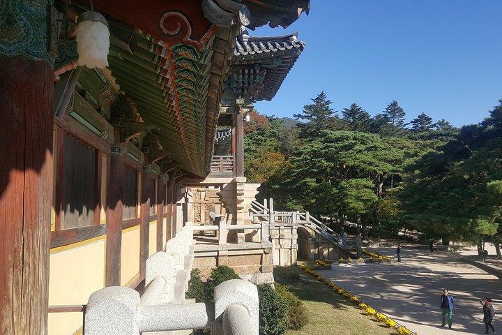 KTX列車で巡る慶州ユネスコ世界遺産ツアー；壁のない博物館