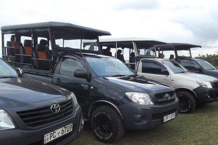 Die beste Safari-Tour vom Hafen Hambantota (Janaka Safari)