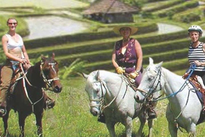 屋外ファンパッケージJatiluwih Bali Adventure