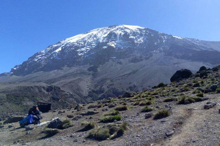 Ruta Lemosho 7 días.