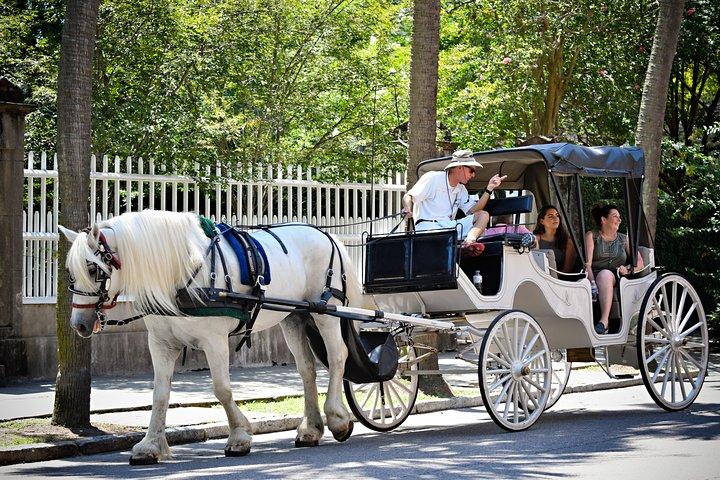 Privétour overdag met paard en wagen door Charleston