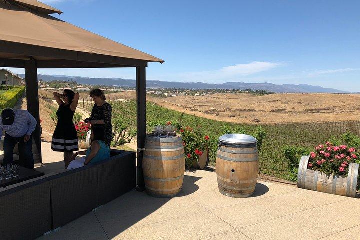 The Shared Temecula Wine Tour from Anaheim