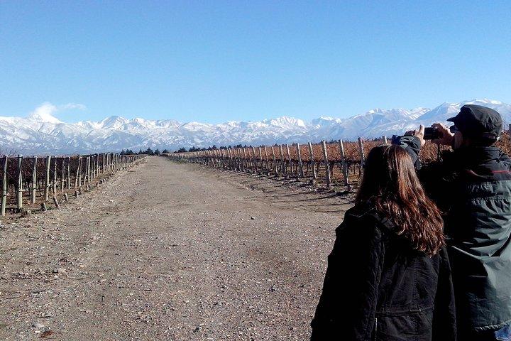 Intera giornata Uco Valley Wine Experience con Salentein
