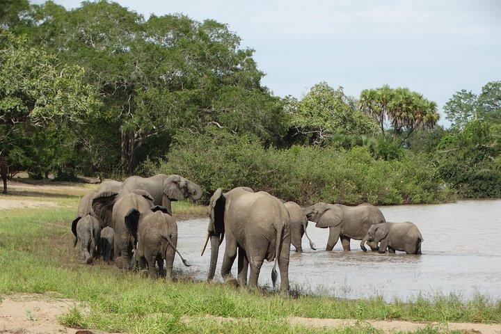4-daagse safari naar Nyerere NP (Selous GR) - Kamperen in het hart van het park