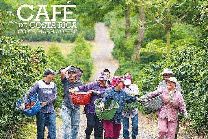 Full day, the Aquiares way - Complete Coffee Tour