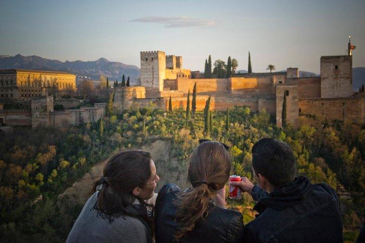 Granada Day Trip with Alhambra and Albaicin Tour from Seville
