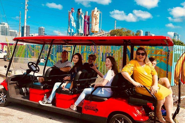 1 Stunde WYNWOOD BUGGIES Tour