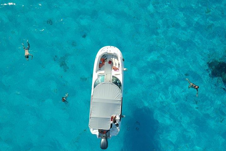 Reef Discovery Halbtägige Gruppen-Signatur-Tour