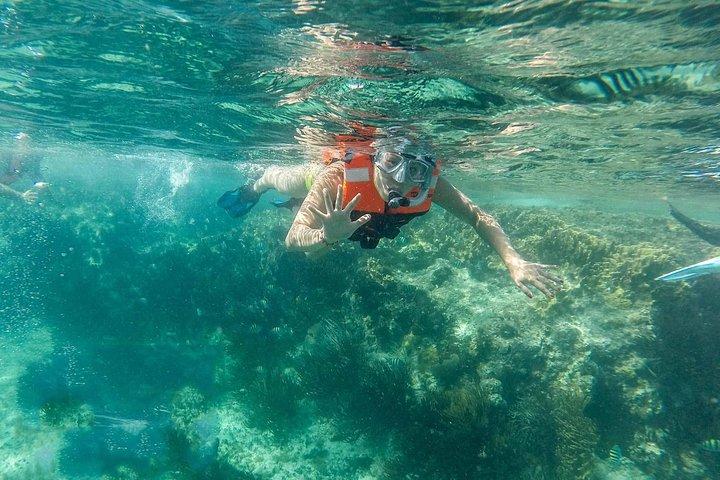 Aventura de snorkel en Isla Mujeres