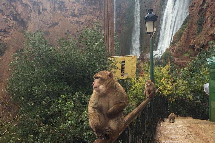 Cascate di Ouzoud: escursione privata o in piccoli gruppi da Marrakech