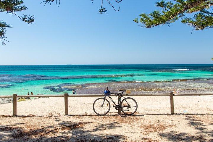 フリーマントルからロットネストアイランドのBayseeker Day Trip