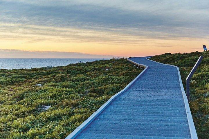 フリーマントルからロットネストアイランドのBayseeker Day Trip