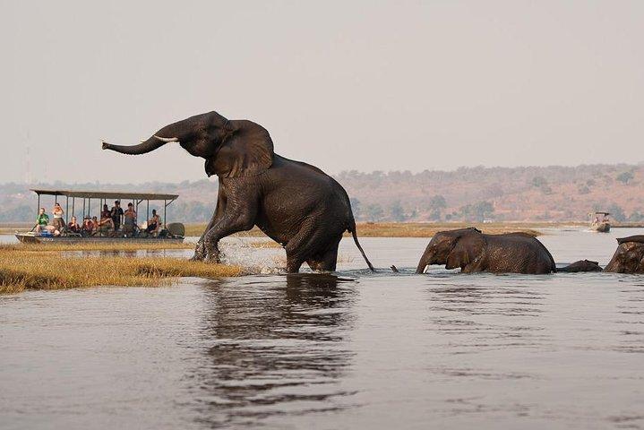 Chobe Full Day Trip da Victoria Falls