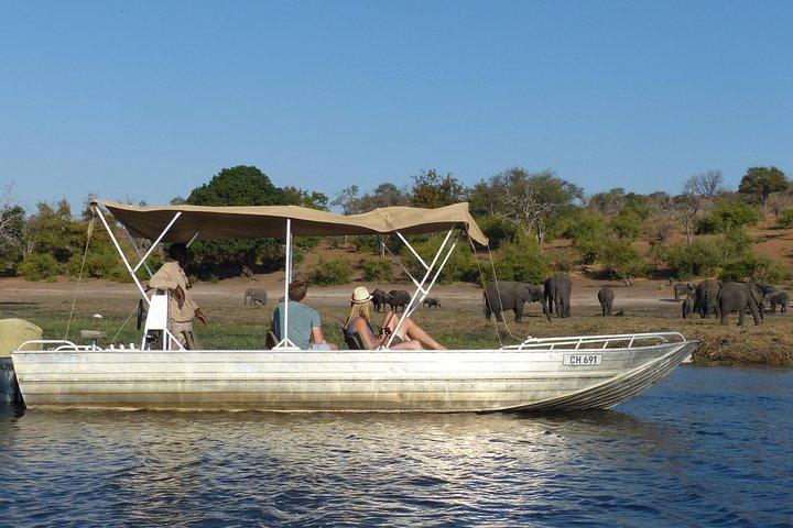 Chobe Full Day Trip da Victoria Falls