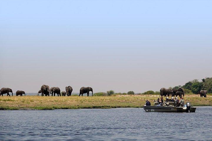 Chobe Full Day Trip da Victoria Falls