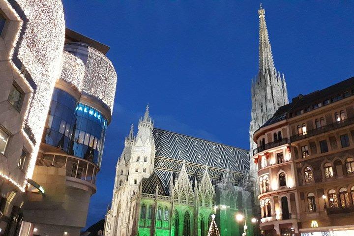 プライベート クリスマス マーケット ウォーキング ツアー ウィーン