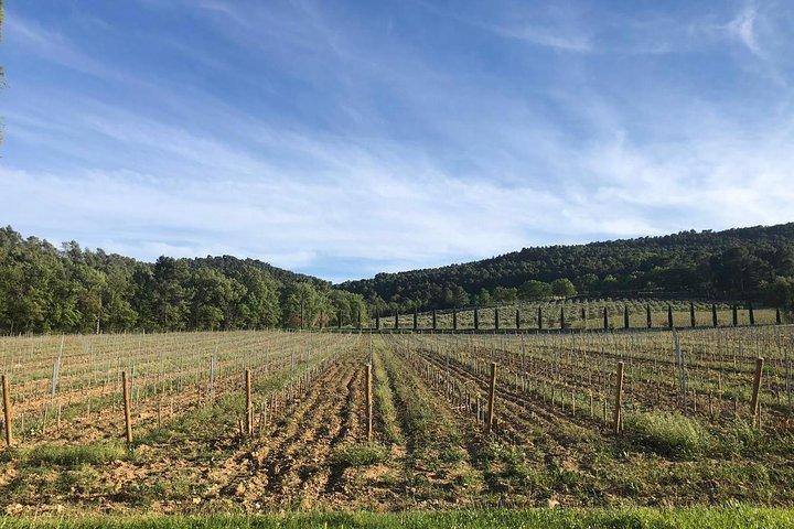 Provence op uw eigen tempo en op uw gemak!