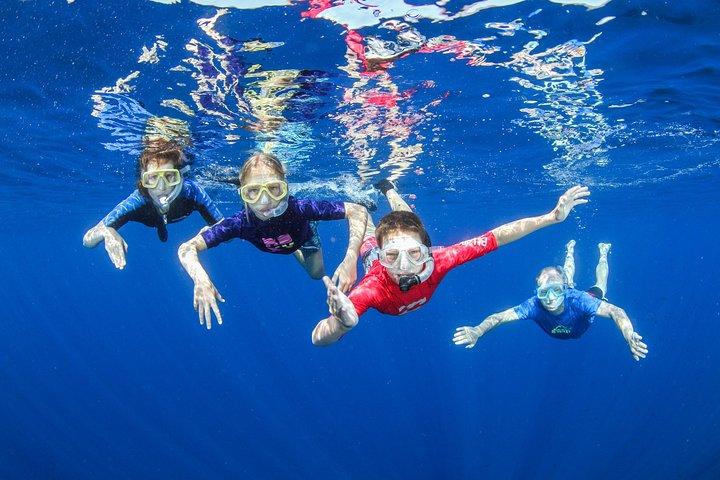 Passeio de barco em Creta com snorkeling guiado e recarga grátis!