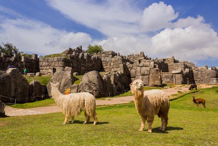 Tour della città di Cusco: Cattedrale di Sacsayhuaman Koricancha Tambomachay
