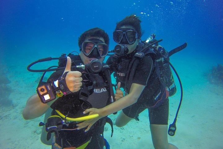 Full-Day Catalina Island Scuba Diving Tour fra Punta Cana