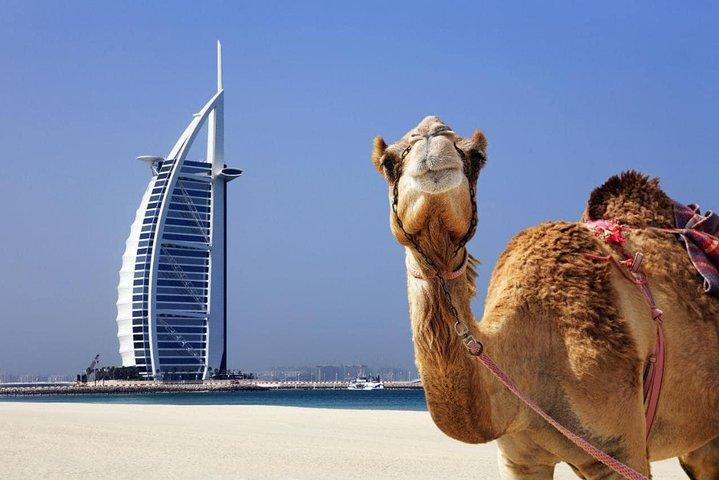 Halvdags bytur med Dubai Frame-billetter