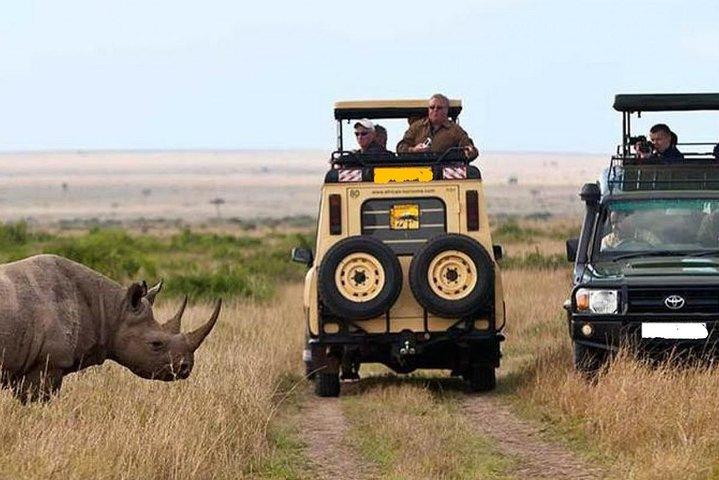 8 jours de découverte du Kenya Safari avec une jeep 4x4 Land Cruiser