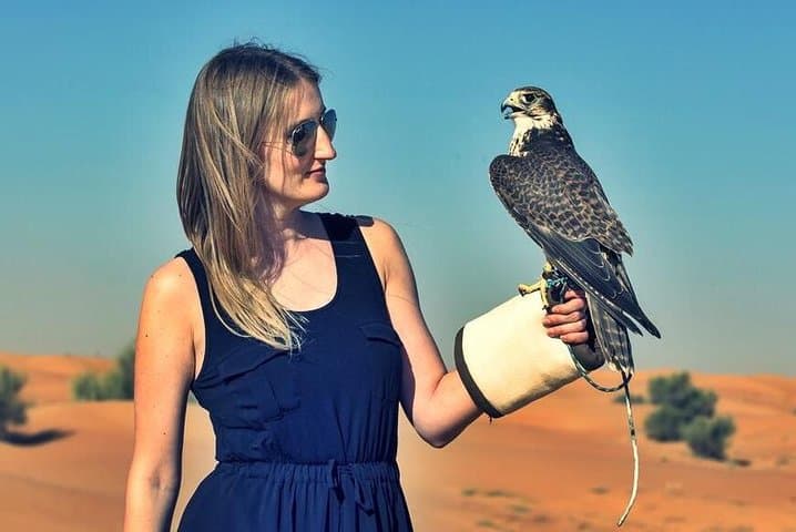 Premium Red Dunes Safari with BBQ dinner and Camel Ride