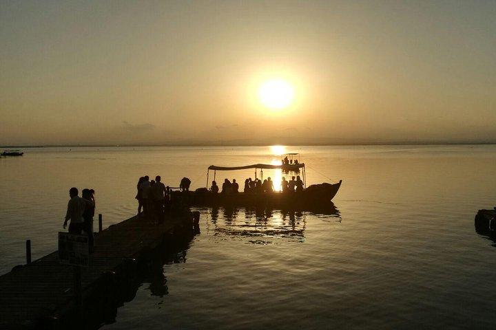 Albufera naturpark tur fra Valencia: Bådtur og lokal Vejleder