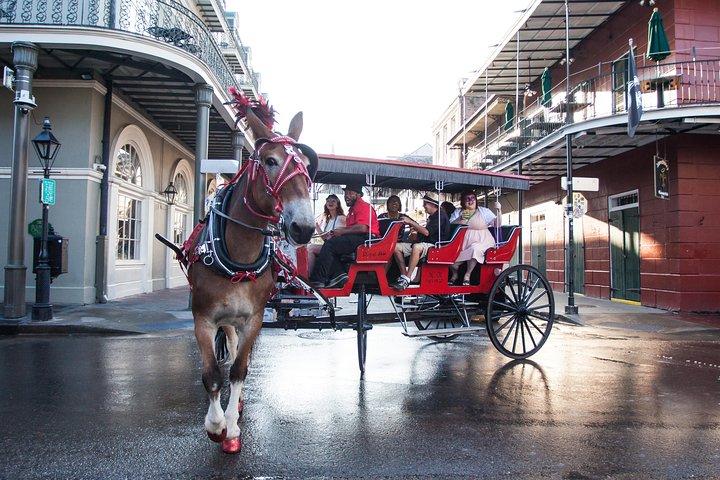 New Orleans French Quarter e altro giro in carrozza