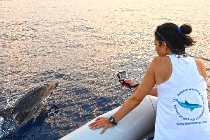 Dolphin Watching & Conservation - Delfini nel golfo di Catania