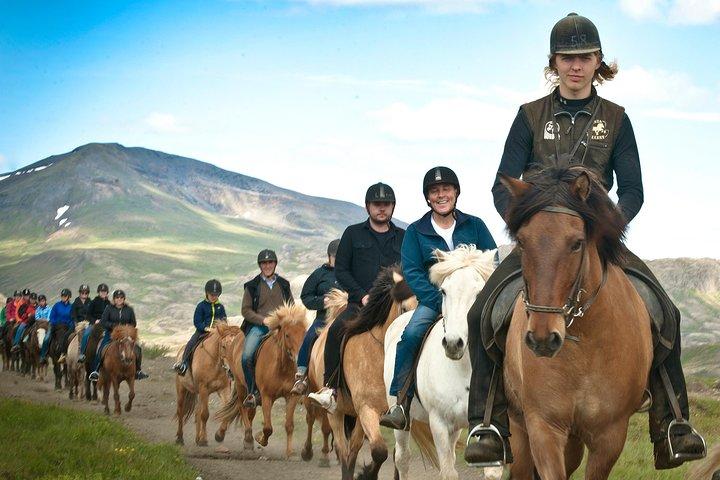 レイキャビクからのお迎えを含むアイスランド乗馬ツアー