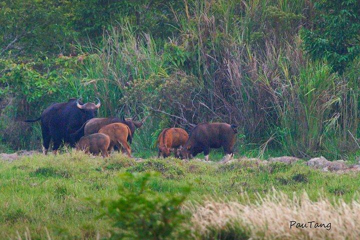Excursão de 2 dias ao Parque Nacional Nam Cat Tien com hospedagem e refeições.