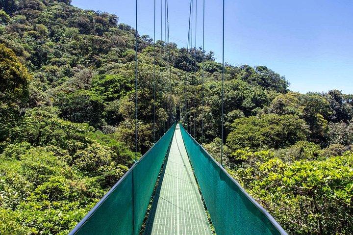 Monteverde Sky Tram e ponti sospesi Cloud Forest Tour da San Jose