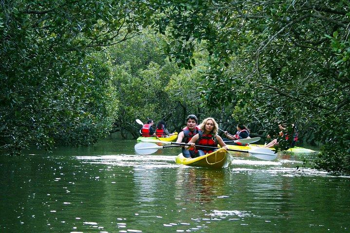 Excursão de caiaque e cruzeiro pela cachoeira na Baía das Ilhas