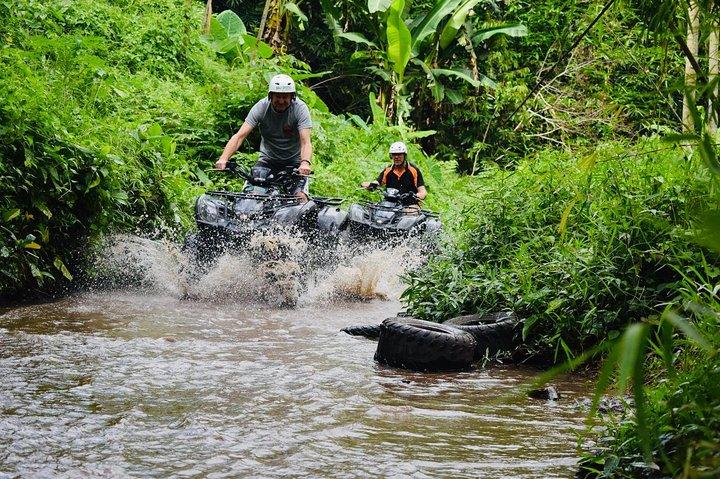 Quad Bali