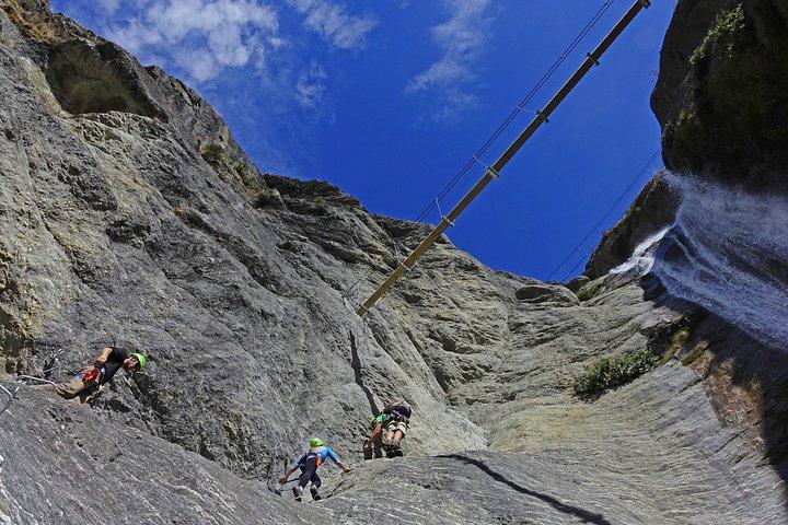 Wildwire Wanaka - Niveau 2 (4 timer)